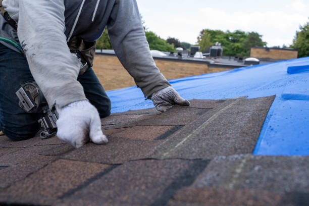 Best Metal Roofing Contractor  in Long Lake, IL