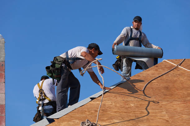 Best Roof Waterproofing Services  in Long Lake, IL