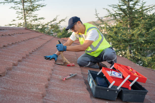 Best Roof Repair Services  in Long Lake, IL